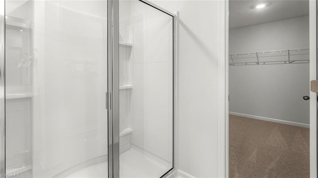 6617 Grogan Hill Rd, Whitsett, NC 27249 - bathroom with a stall shower and a spacious closet