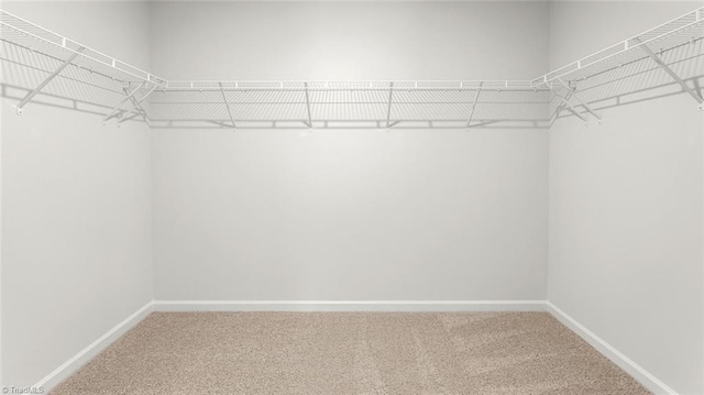 6617 Grogan Hill Rd, Whitsett, NC 27249 - walk in closet with carpet floors
