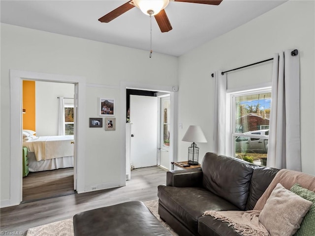 living room with ceiling fan, a wealth of natural light, and wood-type flooring