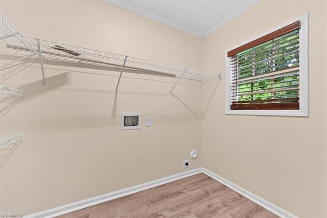 649 W Main St, Franklinville, NC 27248 - washroom with hookup for a washing machine, ornamental molding, wood finished floors, baseboards, and hookup for an electric dryer