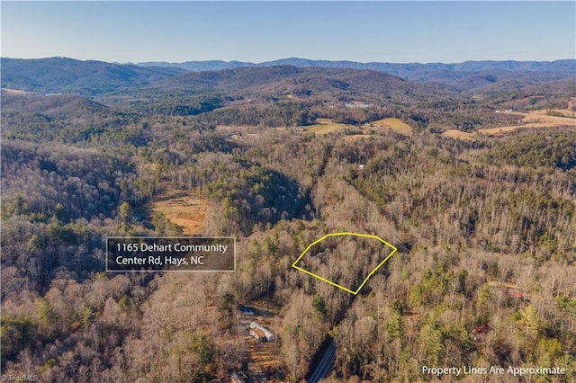 1165 Dehart Community Ctr Rd, Hays NC, 28635 land for sale