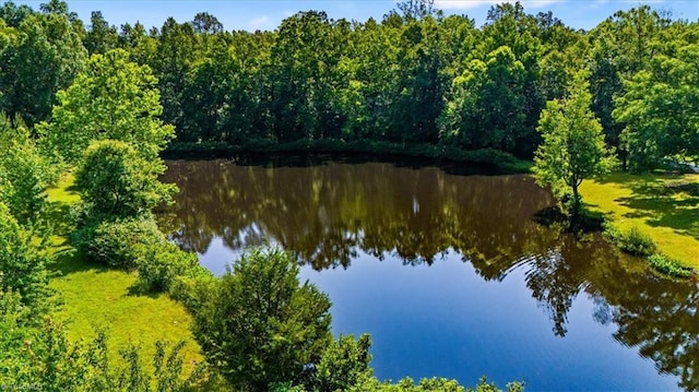 1655 Oakleigh Rd, Mcleansville, NC 27301 - water view with a heavily wooded area