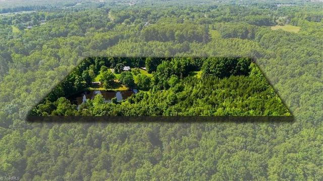 1655 Oakleigh Rd, Mcleansville, NC 27301 - drone / aerial view of a forest