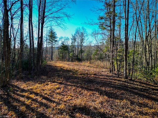 3399 Beaver Creek Rd, Boomer NC, 28606 land for sale