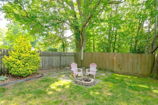 1229 Martin St, Winston-Salem, NC 27103 - view of yard