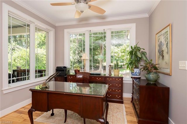 office space featuring ceiling fan, ornamental molding, and light wood-type flooring