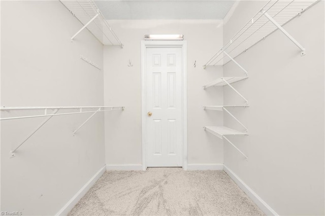 walk in closet featuring light carpet