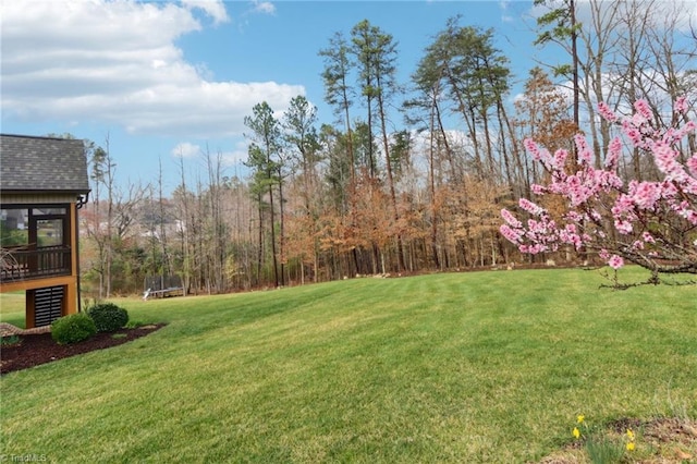 100 Wentworth Dr, Winston-Salem, NC 27107 - view of yard