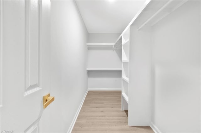 spacious closet with light wood finished floors