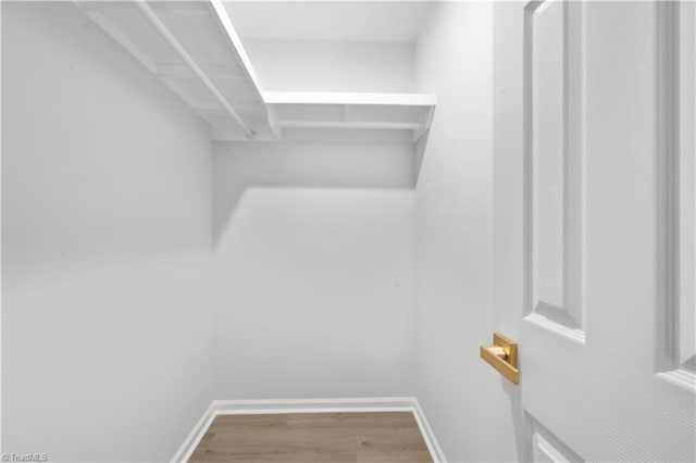 walk in closet with wood finished floors