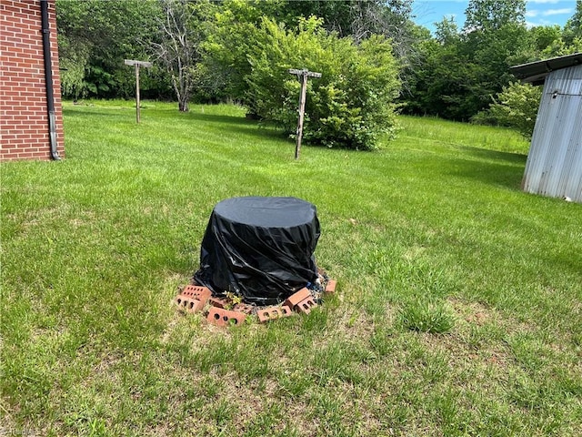 view of green lawn