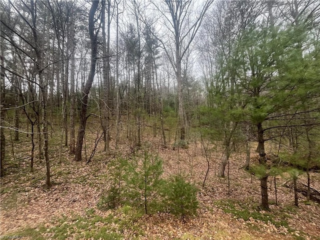 Listing photo 2 for TBD Jonathan Dr, Lowgap NC 27024