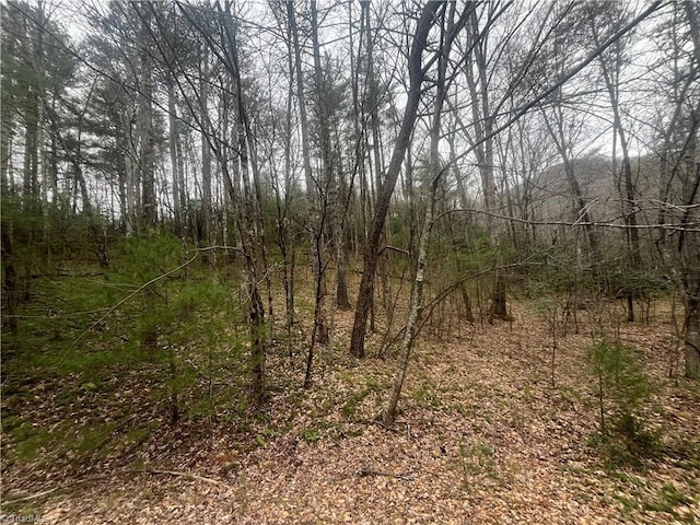 Listing photo 3 for TBD Jonathan Dr, Lowgap NC 27024