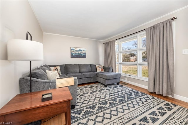 living room featuring ornamental molding and hardwood / wood-style floors