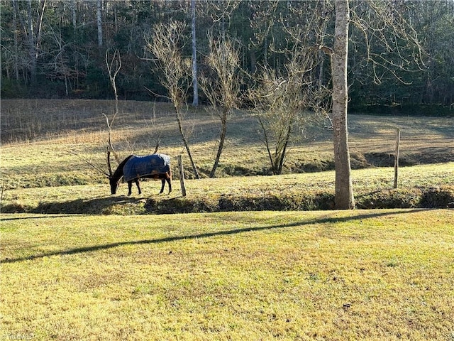 view of yard with a rural view