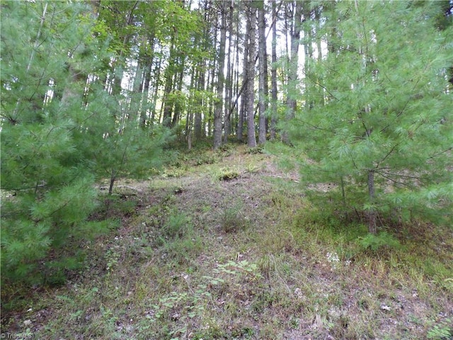 Listing photo 2 for TBD Woodlands Dr, Piney Creek NC 28663