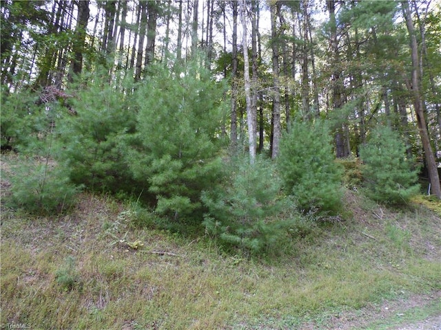 Listing photo 3 for TBD Woodlands Dr, Piney Creek NC 28663