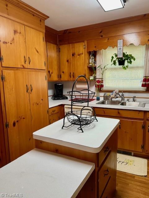 kitchen with dark hardwood / wood-style flooring, a healthy amount of sunlight, and sink