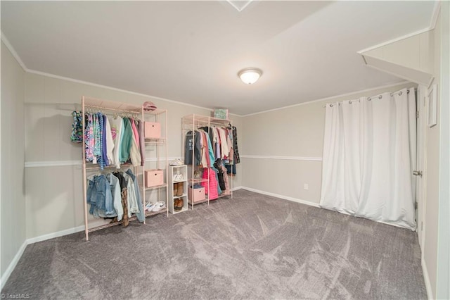 spacious closet with carpet floors