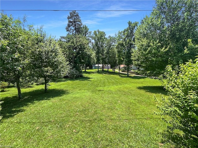 6630 Riverwood Rd, Walkertown, NC 27051 - view of green lawn