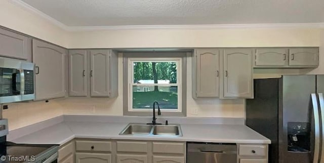6630 Riverwood Rd, Walkertown, NC 27051 - kitchen with appliances with stainless steel finishes, light countertops, crown molding, and a textured ceiling