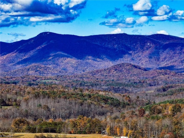 000 Sparger Rd, Mount Airy, NC 27030