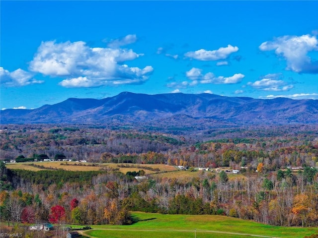 000 Sparger Rd, Mount Airy, NC 27030