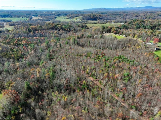 000 Sparger Rd, Mount Airy, NC 27030