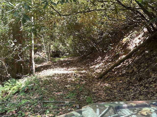 0000 Boone Gap Ln, Taylorsville, NC 28681