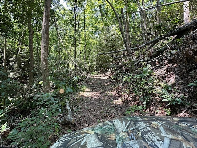 0000 Boone Gap Ln, Taylorsville, NC 28681