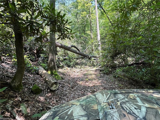 0000 Boone Gap Ln, Taylorsville, NC 28681