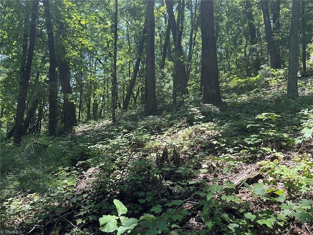 0000 Boone Gap Ln, Taylorsville, NC 28681