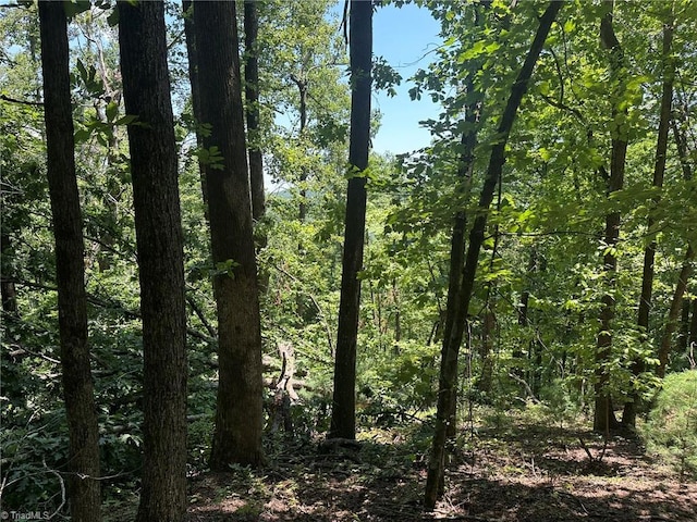 0000 Boone Gap Ln, Taylorsville, NC 28681
