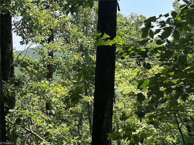 0000 Boone Gap Ln, Taylorsville, NC 28681