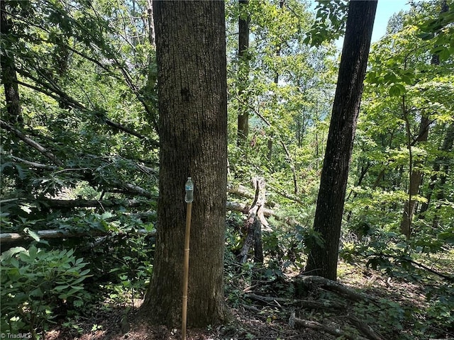 0000 Boone Gap Ln, Taylorsville, NC 28681