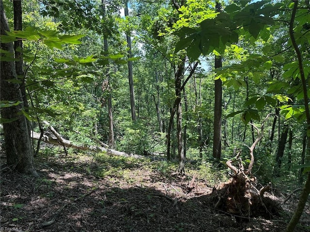 0000 Boone Gap Ln, Taylorsville, NC 28681