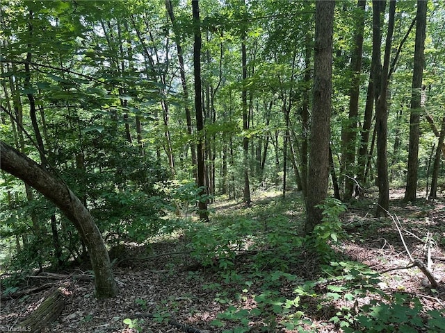 0000 Boone Gap Ln, Taylorsville, NC 28681