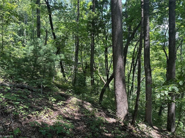 0000 Boone Gap Ln, Taylorsville, NC 28681