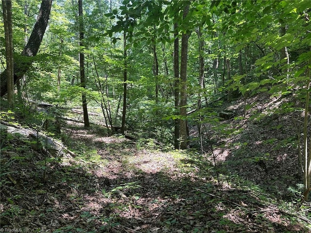 0000 Boone Gap Ln, Taylorsville, NC 28681