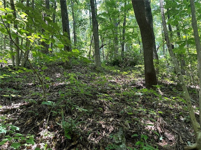 0000 Boone Gap Ln, Taylorsville, NC 28681