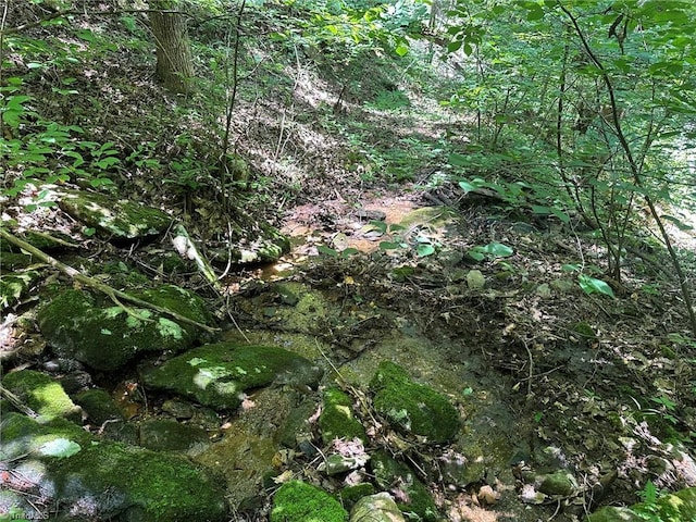 0000 Boone Gap Ln, Taylorsville, NC 28681