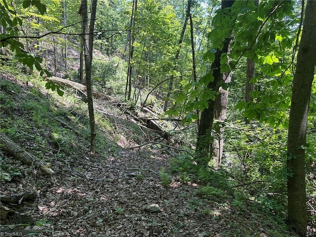 0000 Boone Gap Ln, Taylorsville, NC 28681
