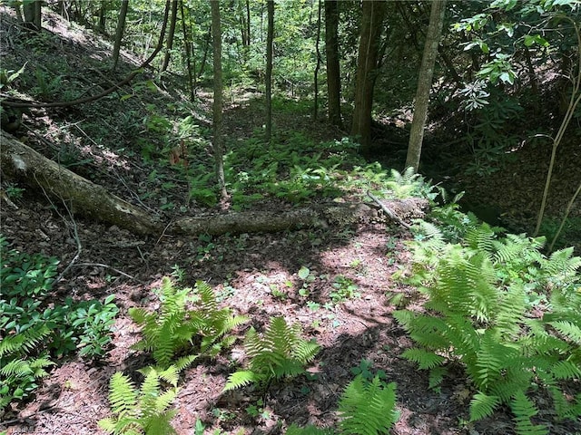 0000 Boone Gap Ln, Taylorsville, NC 28681