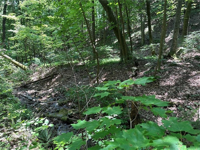 0000 Boone Gap Ln, Taylorsville, NC 28681
