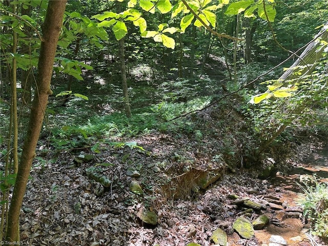 0000 Boone Gap Ln, Taylorsville, NC 28681