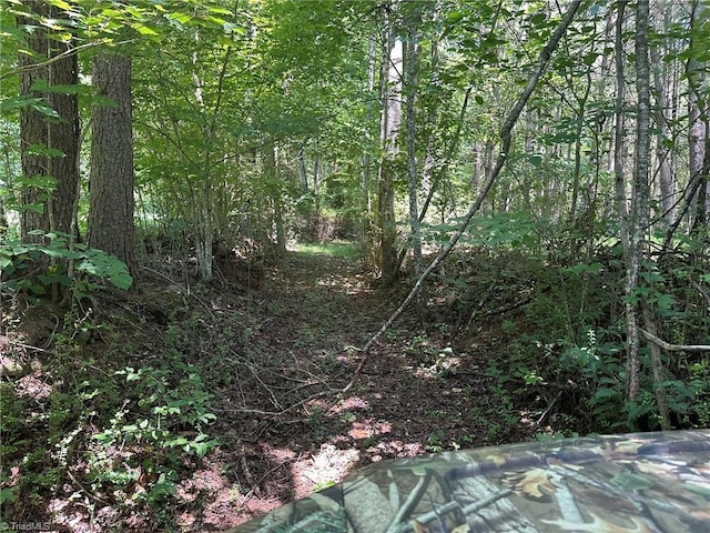 0000 Boone Gap Ln, Taylorsville, NC 28681