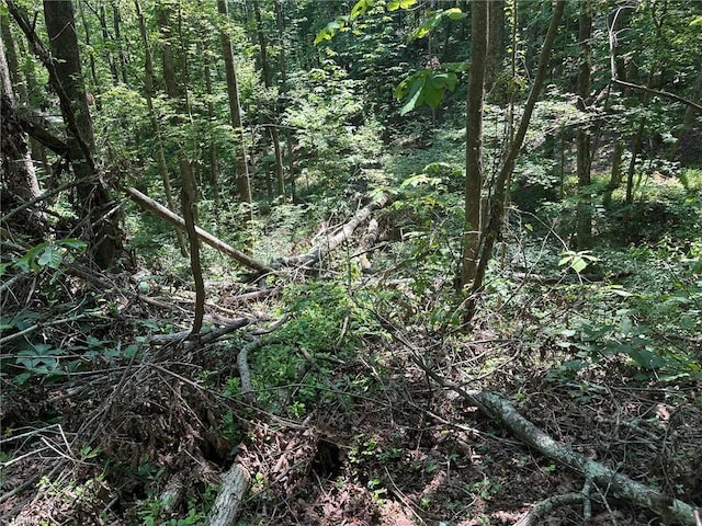 0000 Boone Gap Ln, Taylorsville, NC 28681