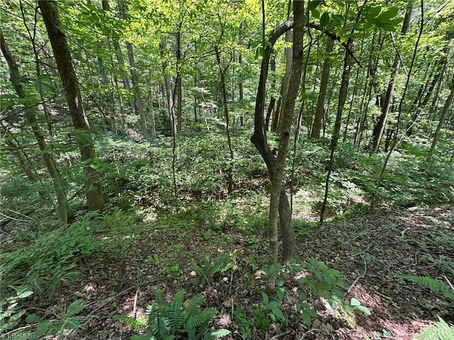 0000 Boone Gap Ln, Taylorsville, NC 28681