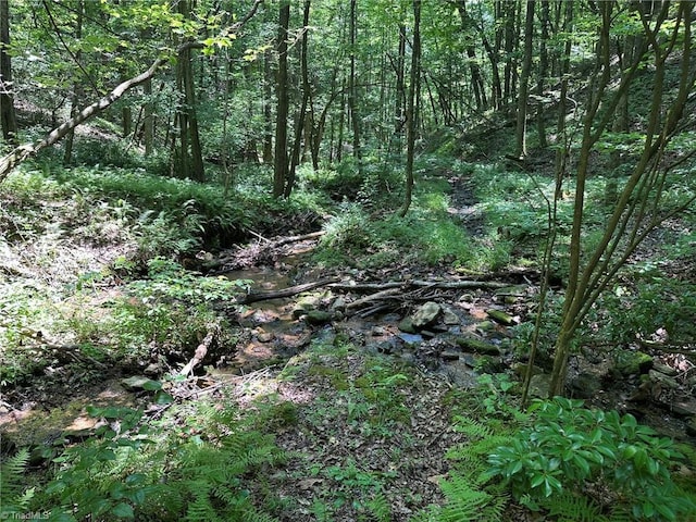 0000 Boone Gap Ln, Taylorsville, NC 28681