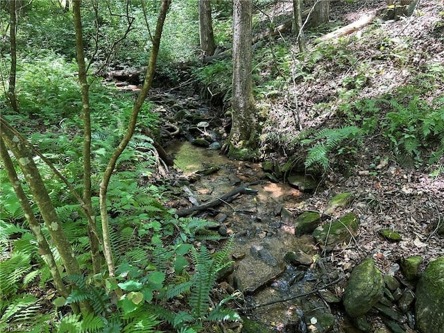 0000 Boone Gap Ln, Taylorsville, NC 28681